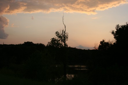 Sunset at Gator Pond.jpg